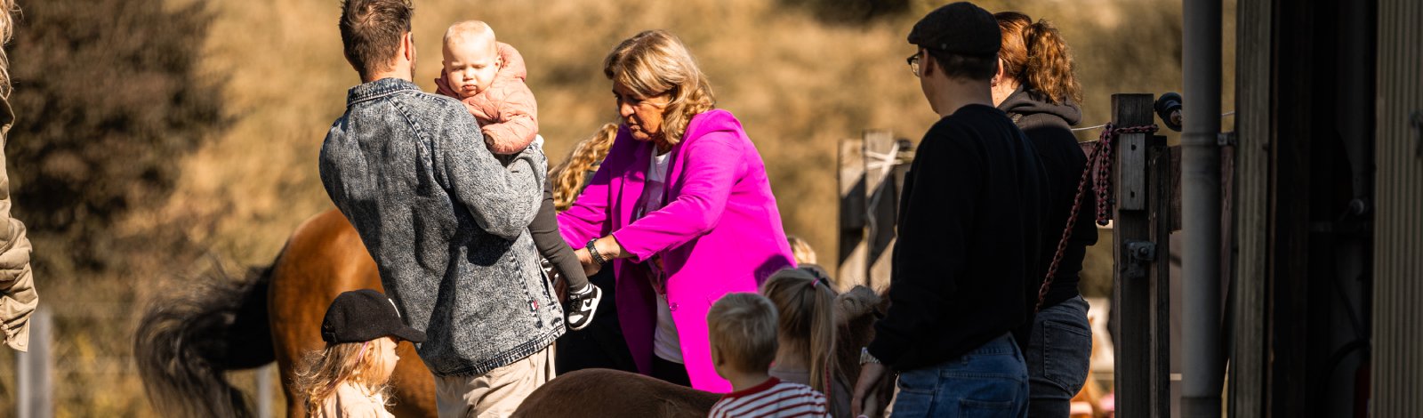 Paardencoaching