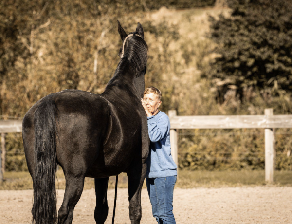 Paardencoaching bij Cheval