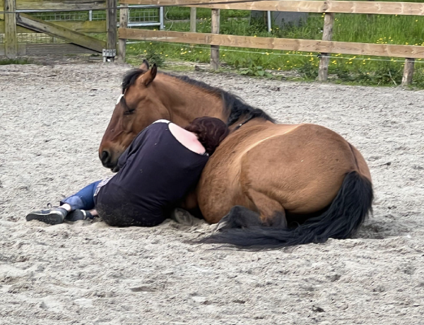 Paardencoaching bij Cheval