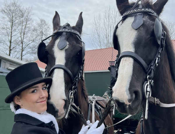 Paardencoaching bij Cheval