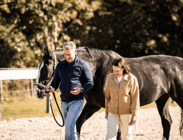 Paardencoaching bij Cheval