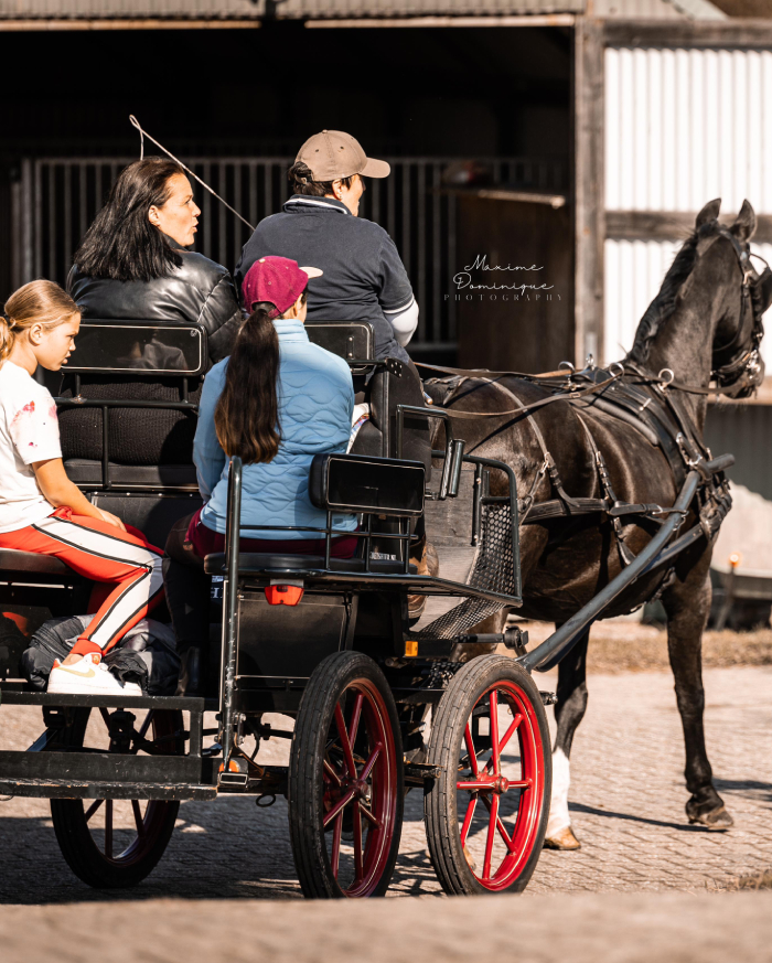 Locaties Cheval & More